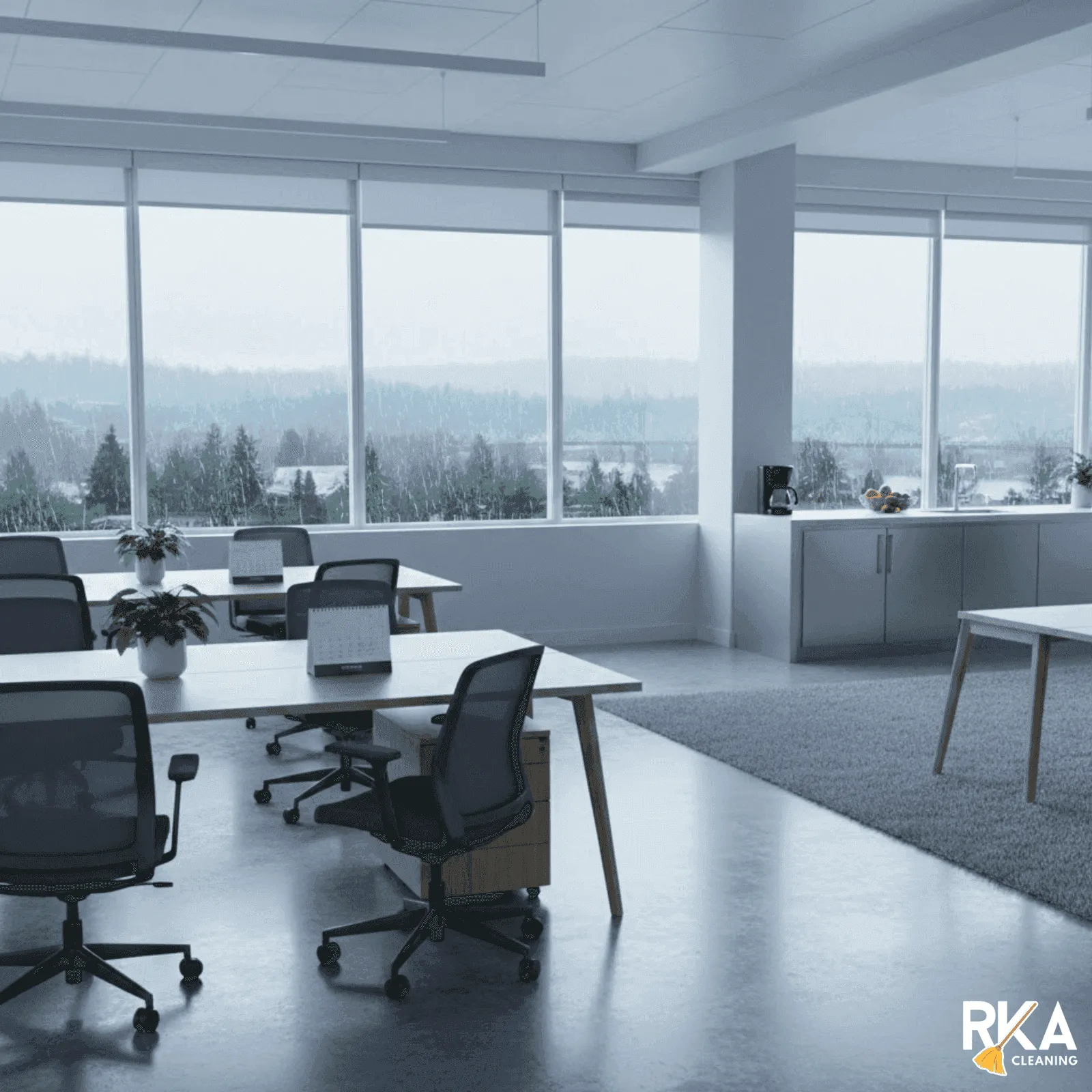 Commercial Spring Cleaning