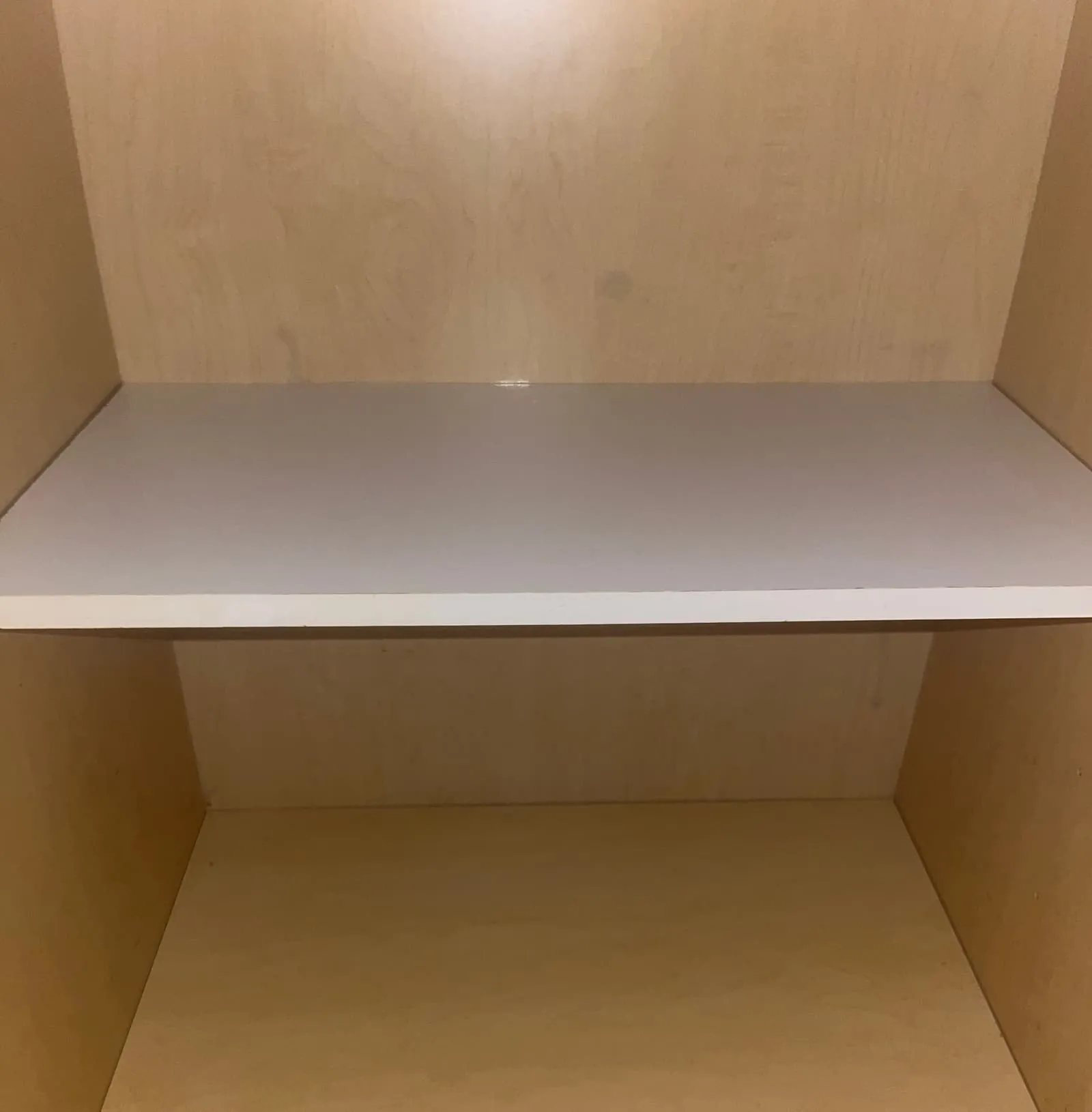 Shelves and cabinets after cleaning