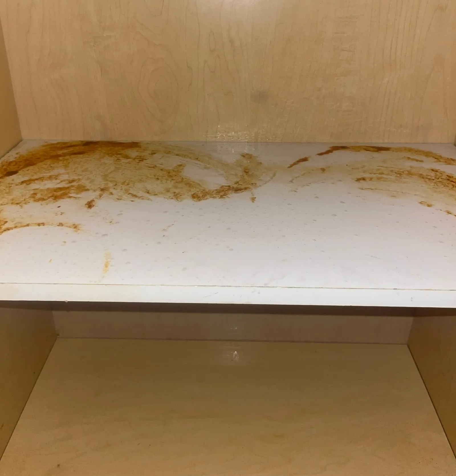 Shelves and cabinets before cleaning